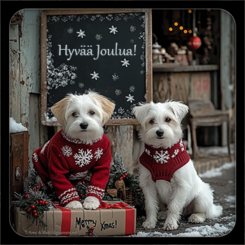 Hyvää Joulua!