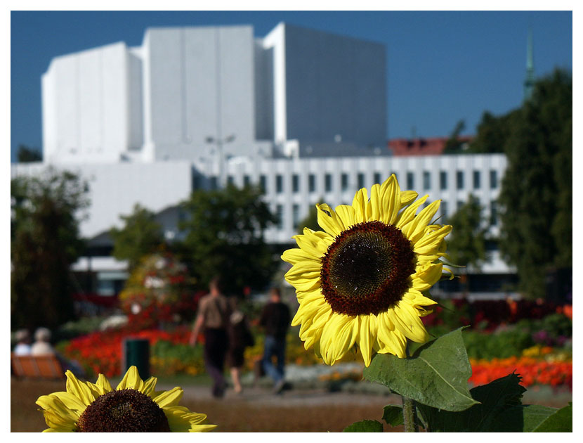 Töölönlahti, Helsinki